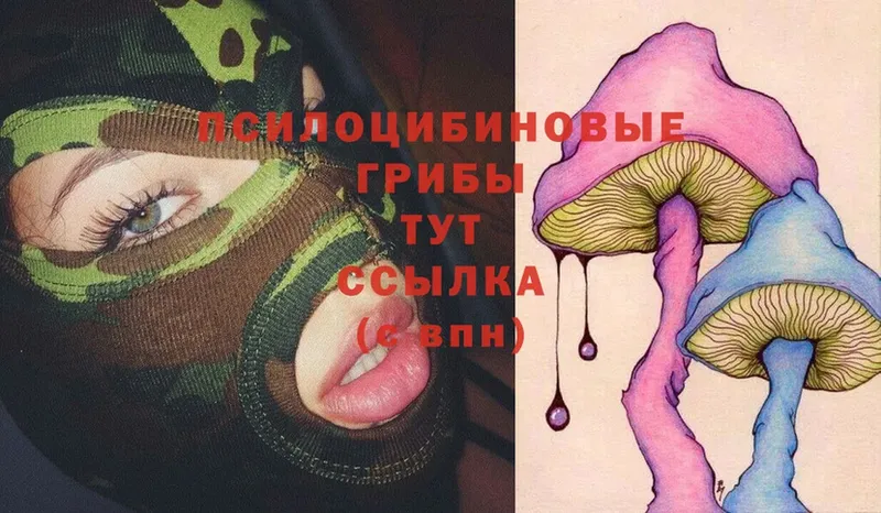 Псилоцибиновые грибы Magic Shrooms  omg ССЫЛКА  Дно 